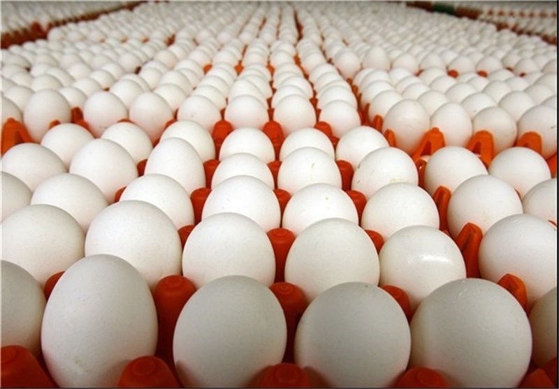 مصوبه هیات وزیران برای واردات تخم‌مرغ/ترخیص فقط تا ۳۱فروردین ۹۷