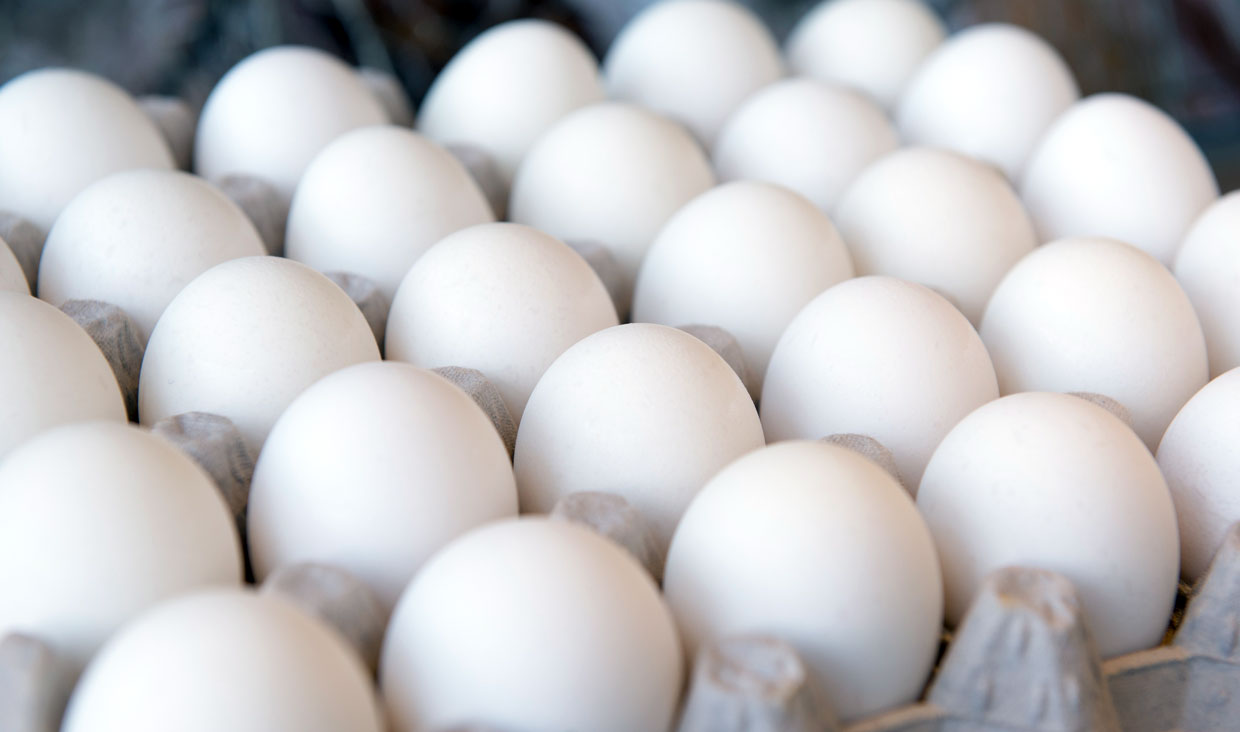 قیمت تخم مرغ به سطح قبلی باز خواهد گشت/وزارت جهاد کشاورزی و تعزیرات با همکاری هم می توانند بازار را مدیریت کنند