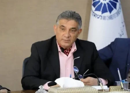 تعدد قوانین دست‌‎وپاگیر مانع فعالیت بخش خصوصی است