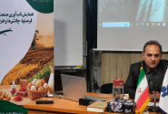 صادرات صنعت غذای ایران زیر سایه ضعف دیپلماسی اقتصادی/ از چین و ترکیه عقب افتادیم