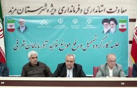 تاکید بر الزامی بودن اجرای مصوبات ستاد تسهیل