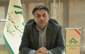 پیگیری خانه صمت برای جایگزینی بخش خصوصی در واردات مواد اولیه