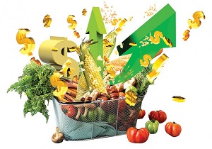 دفتر نمایندگی سازمان خواربار و کشاورزی فائو اعلام کرد: رشد ۸.۲ درصدی شاخص بهای مواد غذایی فائو درسال ۲۰۱۷