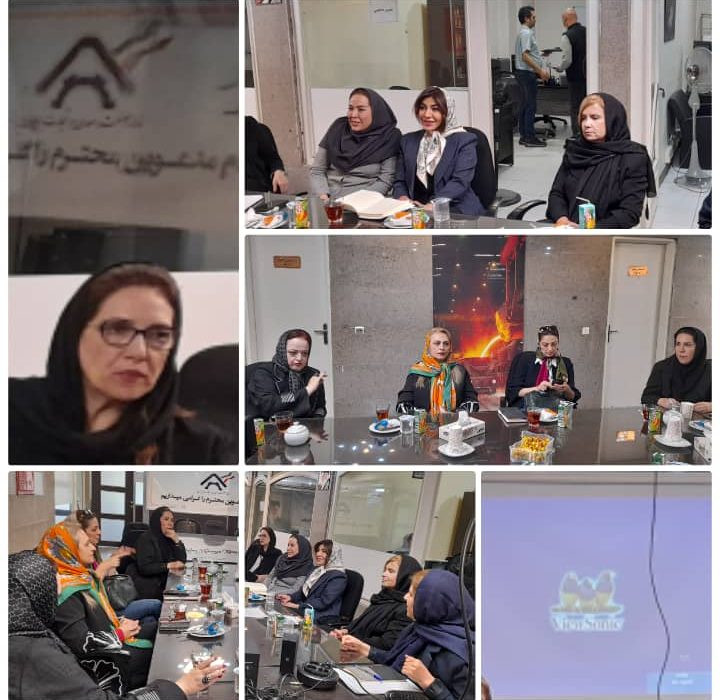 تشکیل جلسه کمیسیون زنان خانه صمت ایران با محوریت کمیسیون‌های استانی