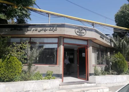 «داروگر» به کما رفت