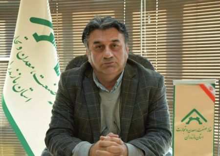 معاون برنامه ریزی خانه صمت ایران منصوب شد