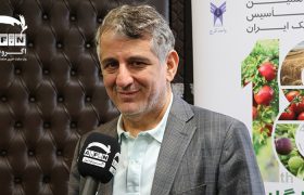کاهش ۳۰ درصدی هزینه تامین غلات با حضور به هنگام در بازار جهانی