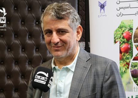  آسیب جدی قیمت گذاری دستوری به صنعت آرد